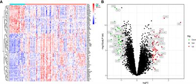 Common molecular mechanism and immune infiltration patterns of thoracic and abdominal aortic aneurysms